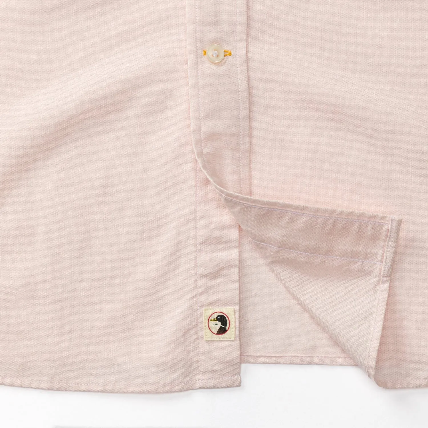 Cotton Oxford Sport Shirt- Morris Solid Pastel Pink