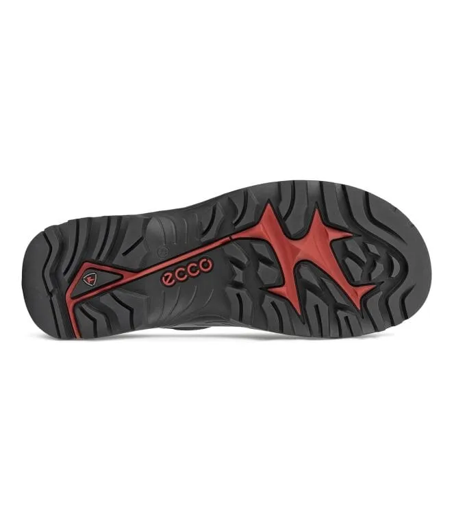 Ecco Men's Offroad Hiking Shoes- Black
