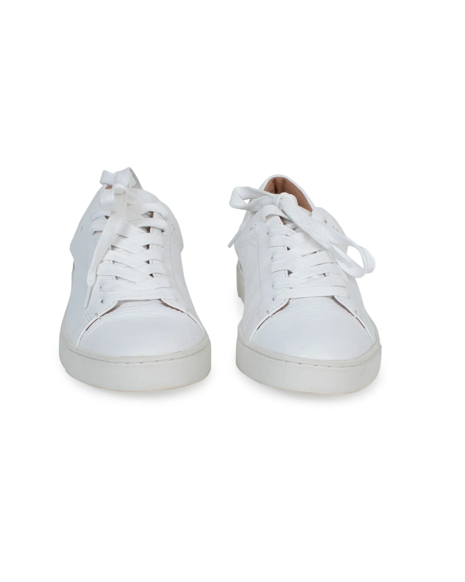 "Ivy Low Lace" Sneakers