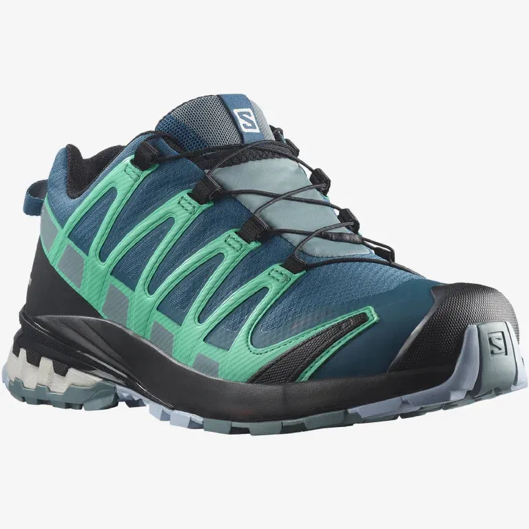 Salomon Women's XA Pro 3D V8 GTX Hiking Shoe