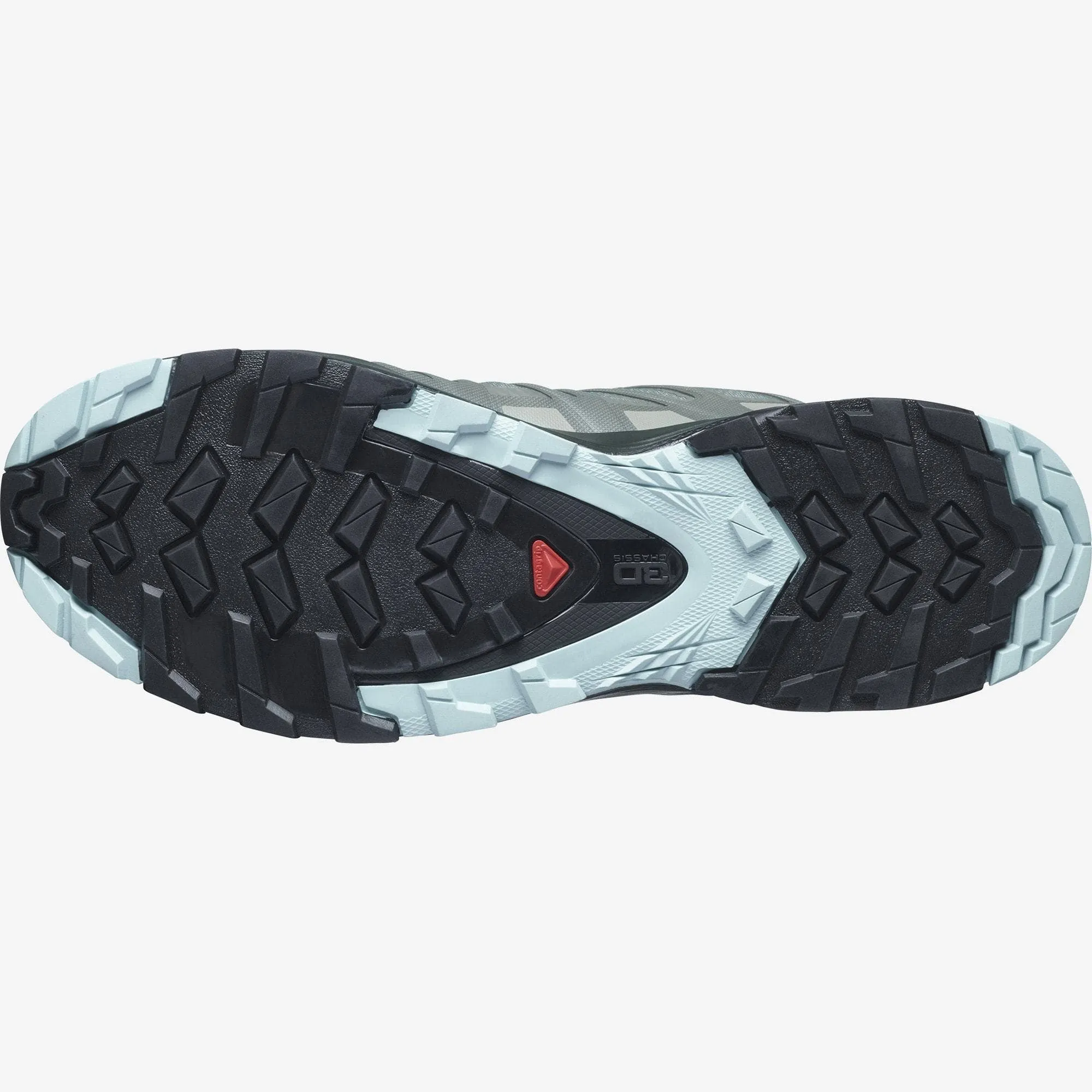 Salomon Women's XA Pro 3D V8 GTX Hiking Shoe